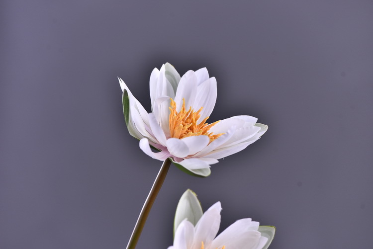 Wholesale manufacturer of artificial water lilies, direct sales of artificial flowers for wedding, home, hotel and homestay soft furnishings, artificial flowers, and photography props pic 17