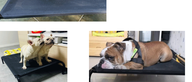 Pet camp bed, dog cool bed, iron frame mesh suspended bed, moisture-proof, breathable and sturdy bed pic 19