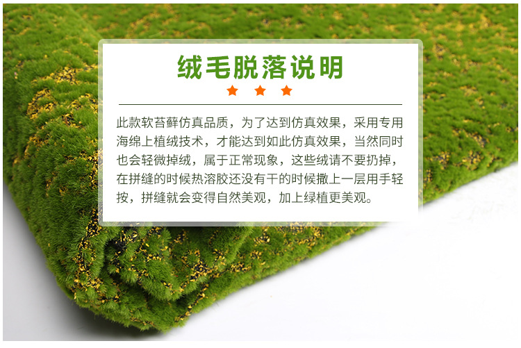 植物墙仿真苔藓绿色假苔藓青苔微景观盆景造景装饰材料草坪草皮详情2