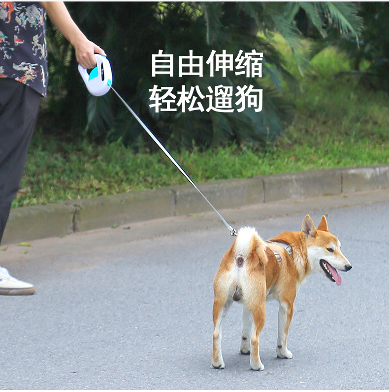 新款宠物狗狗牵引绳大中小型犬外出遛狗绳狗链子宠物牵引带可伸缩详情2