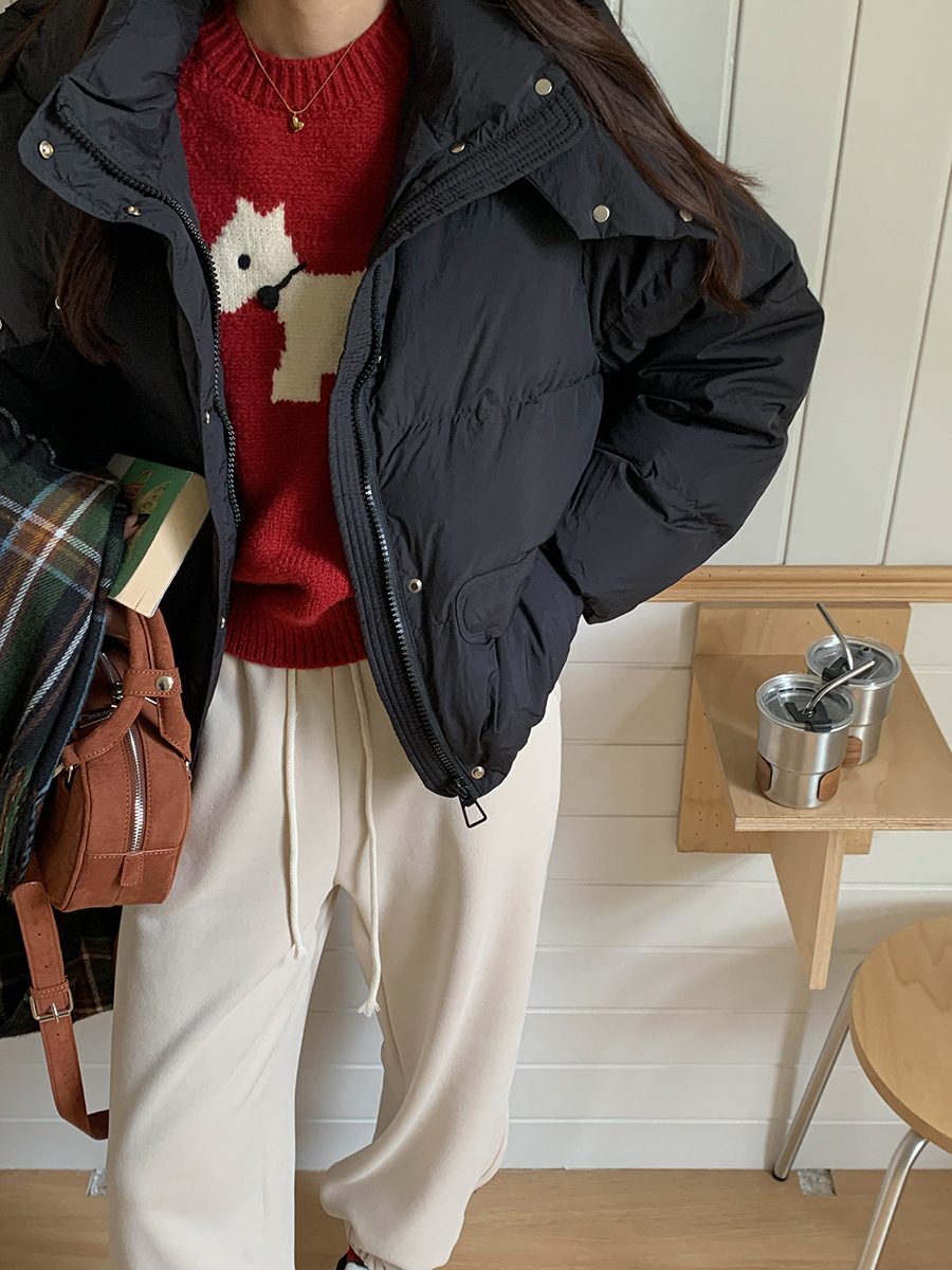 3th Morning North Island Park Korean Style Youthful Dog Embroidered Round Neck Pullover Sweater ZY2381 pic 49