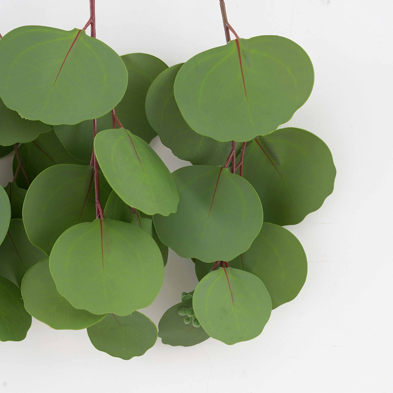 Nordic-style 3D window home decoration, eucalyptus grass, money leaves, eucalyptus leaves, wall hanging simulation plants pic 6