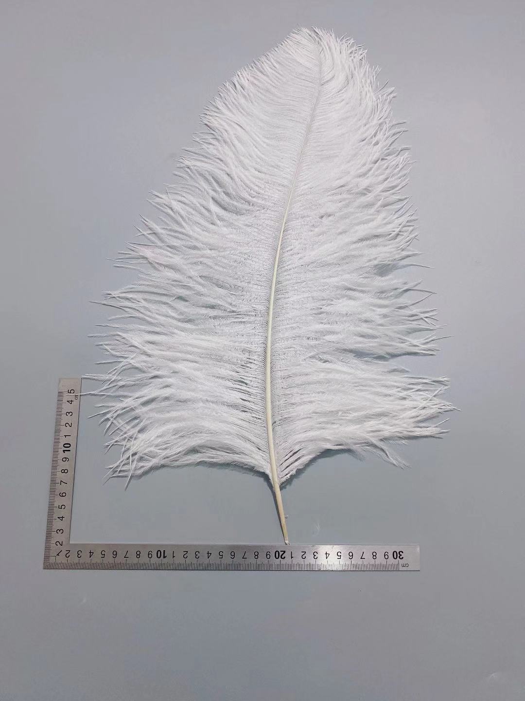 White ostrich feathers 50-55 cm, wedding decoration, home furnishings, flower arrangements, feather lamps, colorful ostrich feathers pic 35