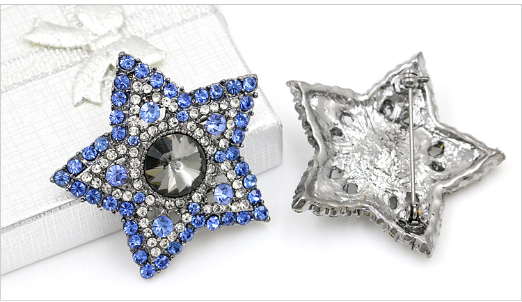 新款同款山茶花胸针字母防走光五角星胸花蜜别针配饰批发详情9