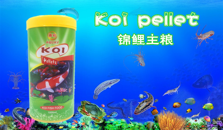 Wholesale Koi pellet premium fish food, koi main food feed, small fish feed, koi staple food pic 23