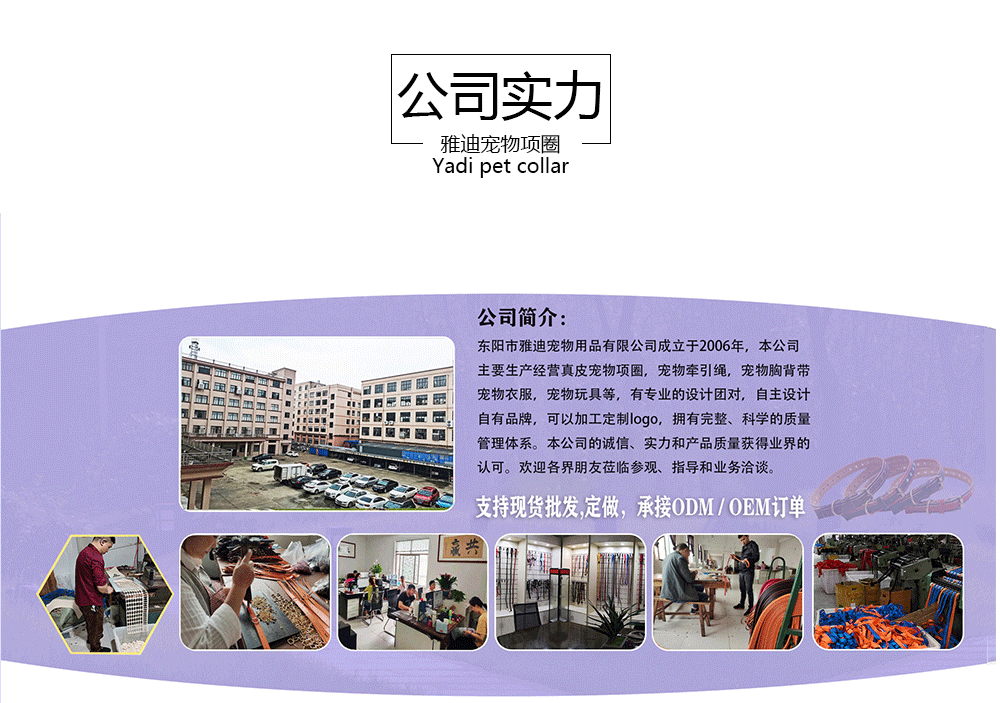 Wholesale in stock with stable supply of two-layer leather dog collars, three-color pet dog neck covers, tactical collars and pet supplies pic 9