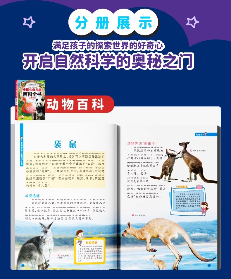 中国少年儿童百科全书全套10册注音版6-8-12岁青少年科普读物详情16