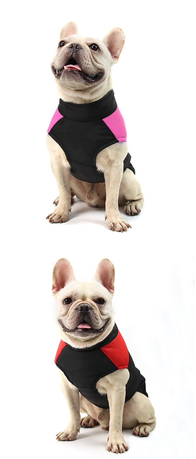 Amazon autumn and winter pet clothing, windproof thickened dog cotton-padded clothes, warm French bulldog clothes, dog clothing wholesale 678 pic 12