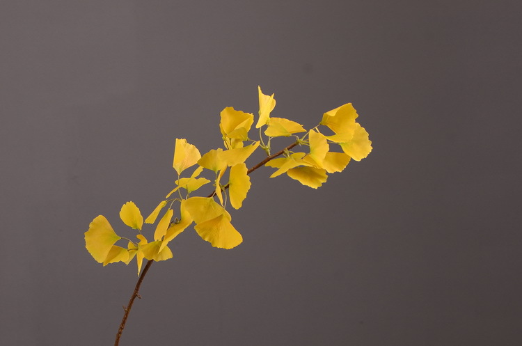 Dongli yellow artificial leaves, artificial ginkgo leaves, artificial trees, engineering landscaping, wedding decoration, artificial branches, Nordic artificial plant leaves pic 21