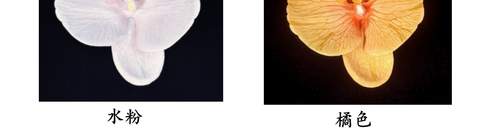 仿真蝴蝶兰花头11.5CM假花diy绢花婚礼装饰花艺簪花材料摆件批发详情16