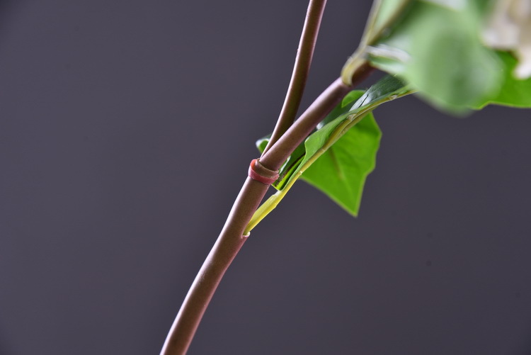 Huazhi Artificial Flower Xiaoli Flower, high-end artificial Xiaoli Chrysanthemum, Home wedding model room decoration Artificial Flower Xiaoli Flower pic 6