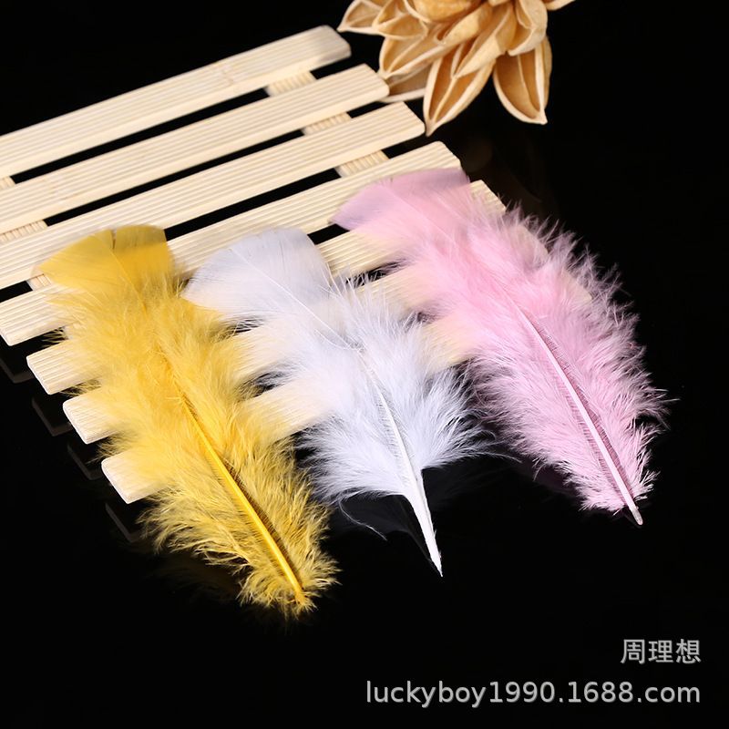 F7A682DD567188656EC6144BC7FC56