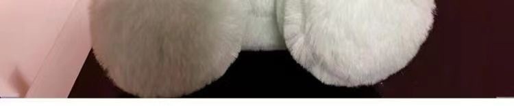 帕恰狗毛绒玩具公仔白熊玉桂狗库洛米玩偶Cinnamoroll女生日礼物详情10