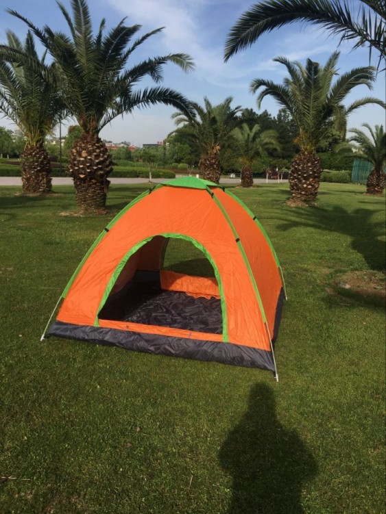 8786322805_1233569569