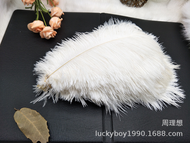 Colorful ostrich feathers 15-20cm, mask feathers, DIY accessories, wedding decoration props, ear-picking accessories, colorful feathers pic 44