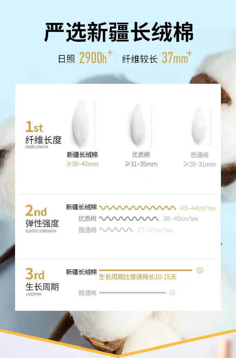 白色女士棉短袖T恤女2023新款夏季小个子体恤正肩大码印花上衣详情2