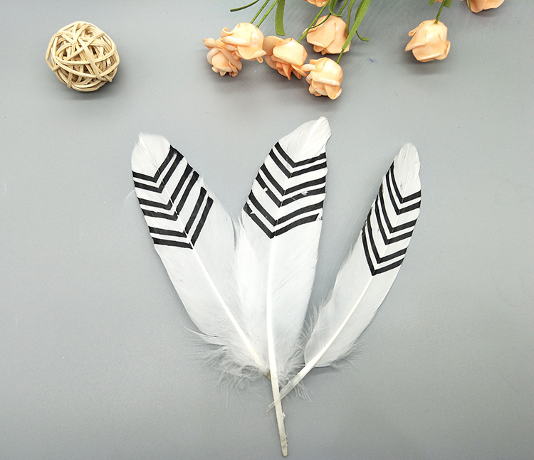 A large quill feather gift box with all-gold and all-silver feathers, paper card bookmarks and decorative quill pens pic 43