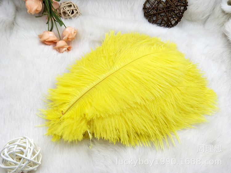 Colorful ostrich feathers 15-20cm, mask feathers, DIY accessories, wedding decoration props, ear-picking accessories, colorful feathers pic 48