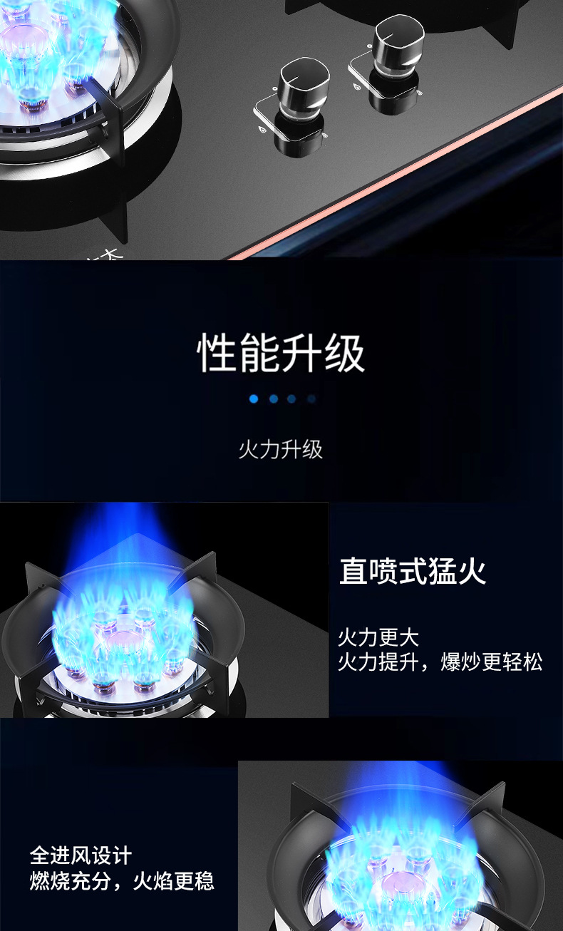 燃气灶家用厨卫双九腔猛火灶台嵌两用天然气液化气双灶煤气灶批发详情6