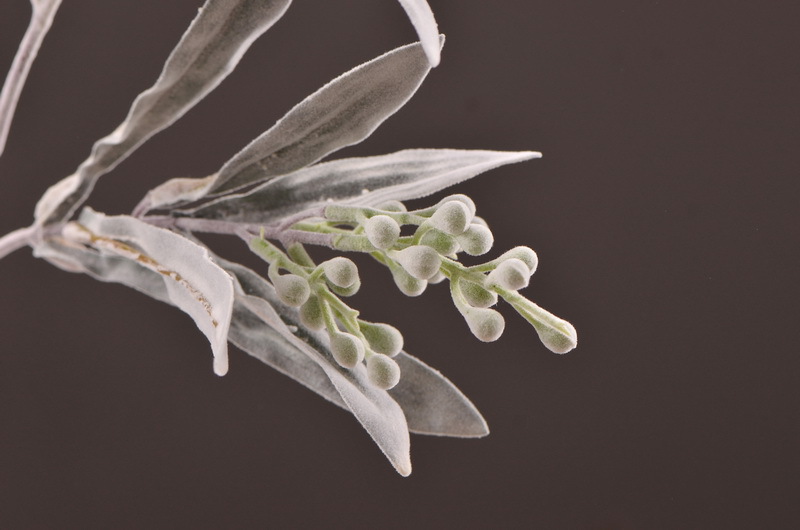 Dongli Flower Industry Factory Direct sales, wholesale of artificial flowers and fake flowers, 2-fork-scented green leaves, home decoration sample rooms, photography fake flower ornaments, one-piece consignment pic 9