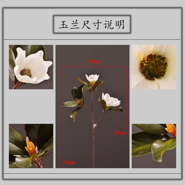 1-2尺寸说明.jpg
