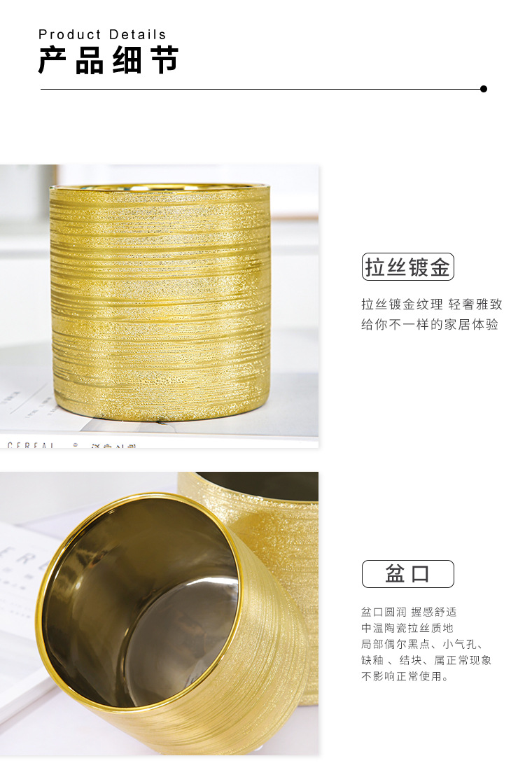 Chinagoods Du Qi Hotel supplies: European-style simple and creative ceramic brushed, gold-plated and silver succulent combination export flower POTS, handicrafts and flower vases pic 12