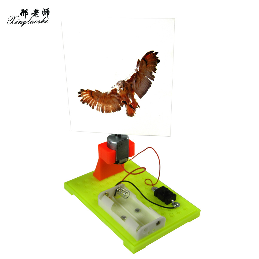 Caged Bird Technology Creates Visual Pause: Caged Bird DIY Experiment Small Project pic 4