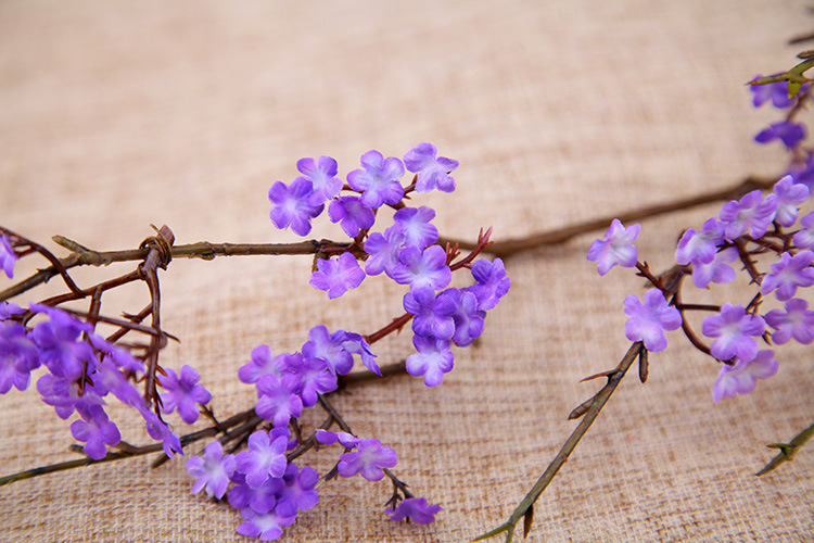 Zen-themed faux cherry blossom vine branches for home decoration, realistic small floral dry branches, tea room artificial flower ornaments, and simple flower arrangements pic 28