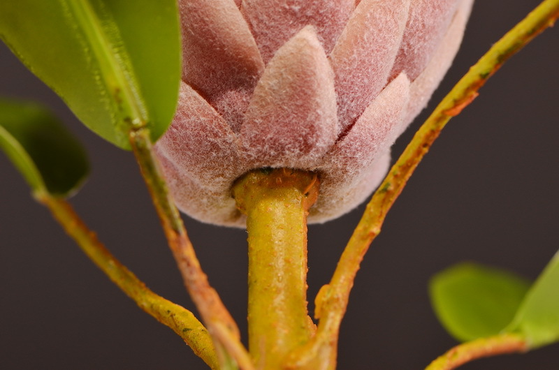 Wholesale of high-end artificial flowers such as faux emperor flower, South African princess flower, flocked faux flowers, hotel banquet table flowers, and homestay decoration pic 12