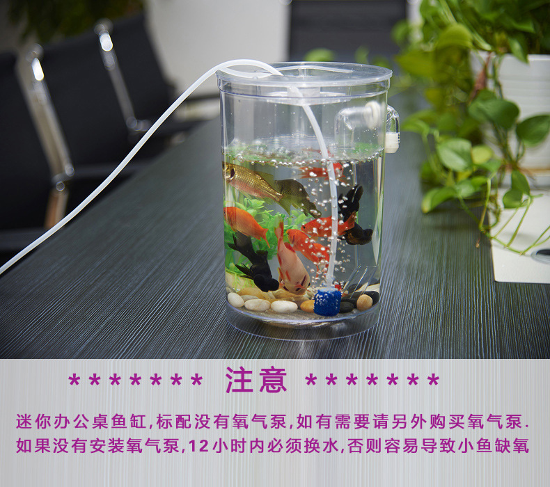 Lazy fish tank landscape ecological bottle, small mini fish tank, Office desktop fish tank, golden fish tank, creative ornamental tank pic 45