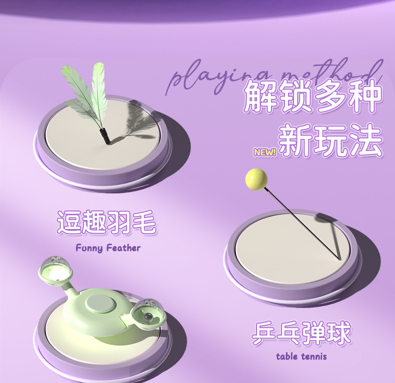 New pet toys: Cat spinning wheel, windmill, mint, feather, cat toy stick, track, play plate, cat toy pic 3