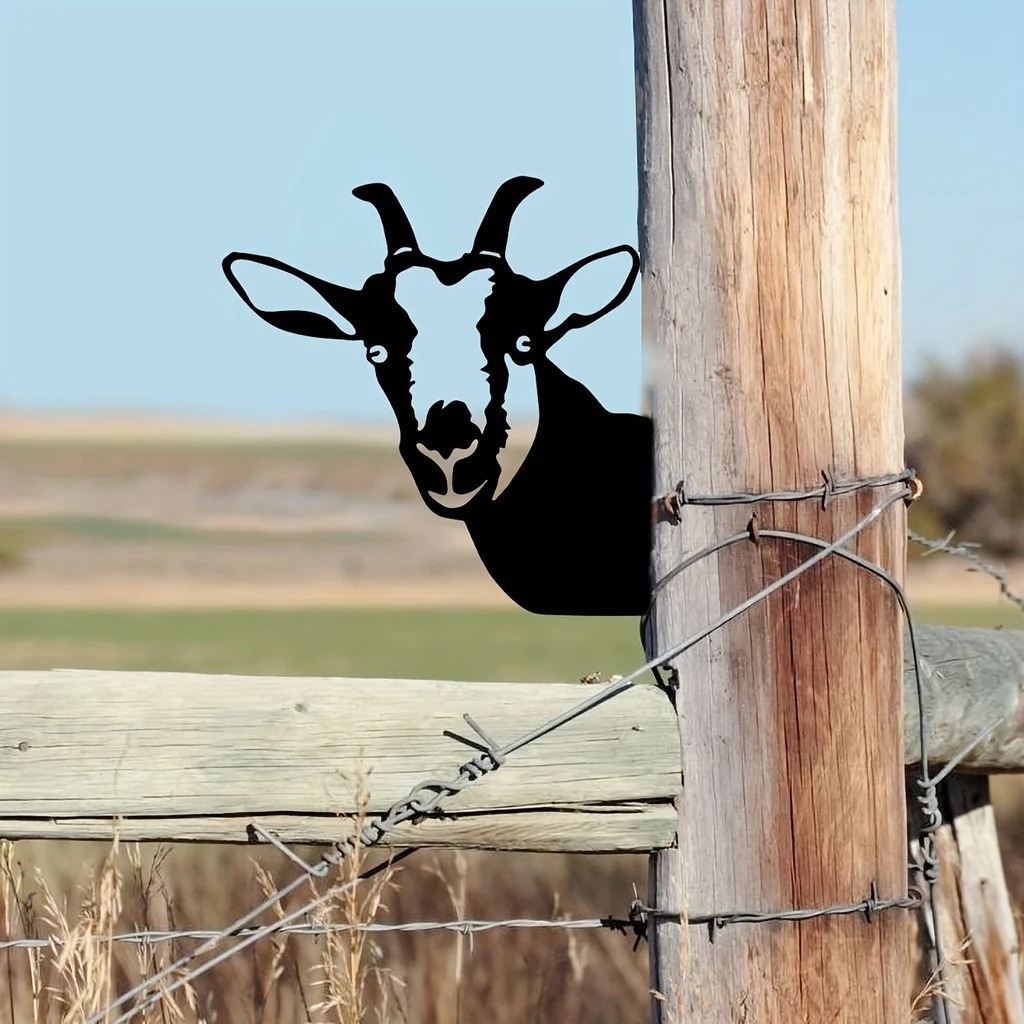 6_Sb602d1cd101c4ff6b352632e058