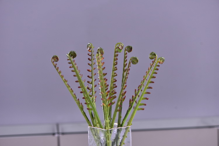 Factory direct sales of artificial green plants wholesale, artificial fern leaves, peacock fern, home banquet, homestay, wedding artificial plants, Lanjin artificial ferns pic 26