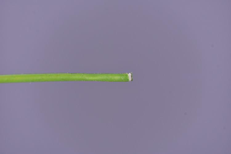 Artificial flower bouquets, flower arrangements, green plants, Dingding grass, artificial flowers, living room ornaments, decorative items, plastic flowers, photography props, silk flowers, artificial plants pic 28