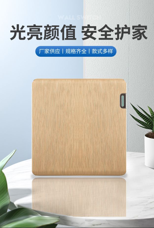 博王 S6金拉丝轻奢现代简约风插座开关 阿拉伯迪拜也门外贸出口详情1