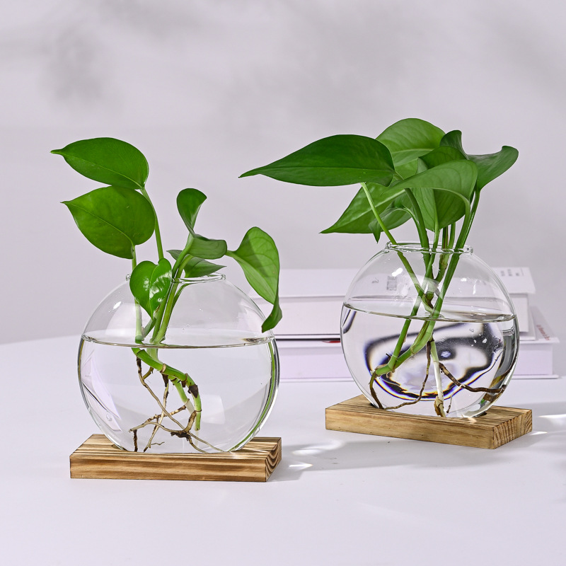 创意水培绿萝玻璃花瓶 客厅办公室桌面花瓶摆件 家居装饰插花容器详情5