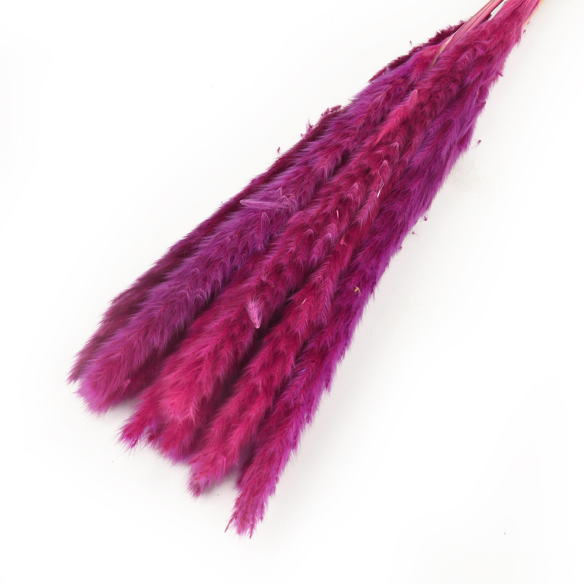 永生花小芦苇干花花束批发ins风家居装饰小芦苇厂家批发                                 详情14