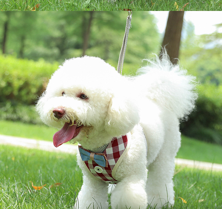 Pet supplies, pet supplies, pet cat supplies, anti-break, breathable, adjustable cat chest and back straps, vest-type cat leashes, cat lashes pic 4