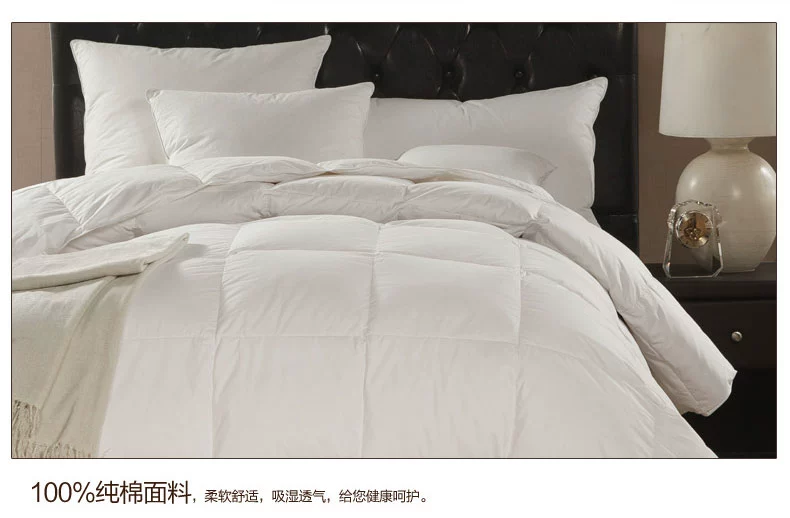 Shefan five-star hotel supplies duck down quilts, down quilt cores, thickened warm quilts pic 20