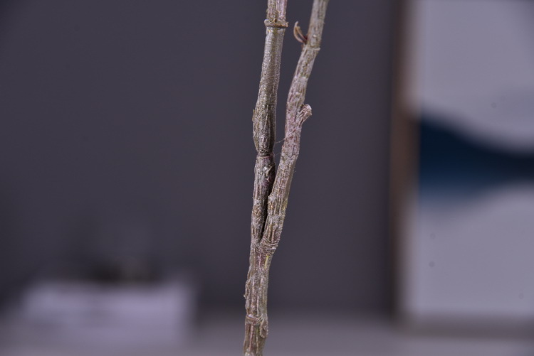 Lanjin Artificial Fruit Factory Direct Sales, wholesale of artificial berries, artificial green vine fruits, Chinese modern and simple decoration, winter green fruits, and mountain prosperity fruits pic 29