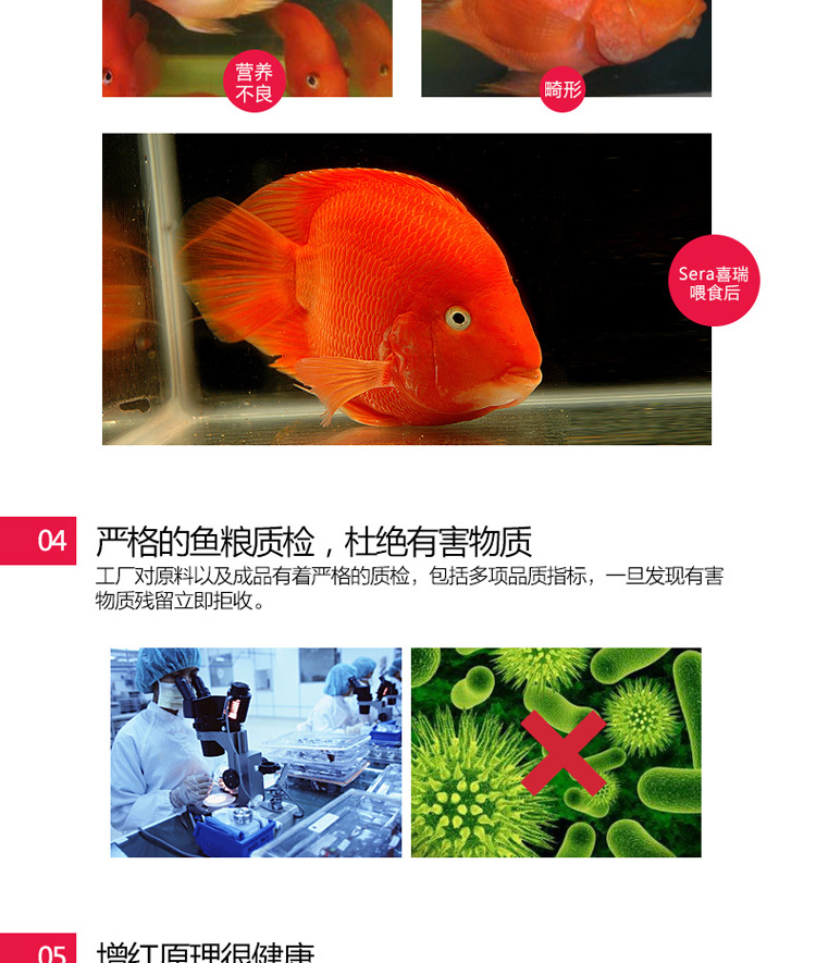 Wholesale of natural green fish food and red medium-sized ornamental fish feed for Xirui Flower parrot fish pic 36