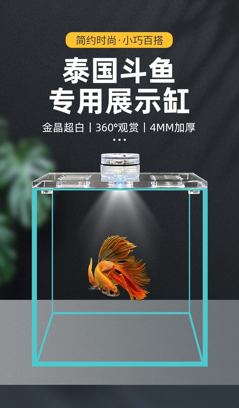 The manufacturer supplies Thai betta fish display fish tanks, golden crystal ultra-white glass small fish tanks, tabletop small fish tanks and betta fish tanks pic 1