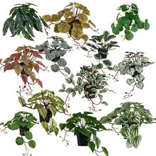 新款亚马逊圆球纸浆仿真盆栽复古风家居桌面仿真绿植假花盆景详情6