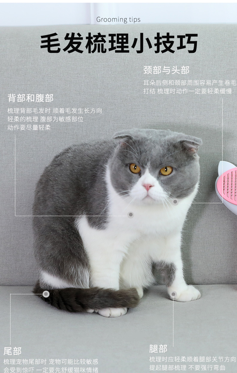 Pet comb, large telescopic and knotted comb, cat comb, automatic hair removal and massage comb, pet cleaning supplies pic 8