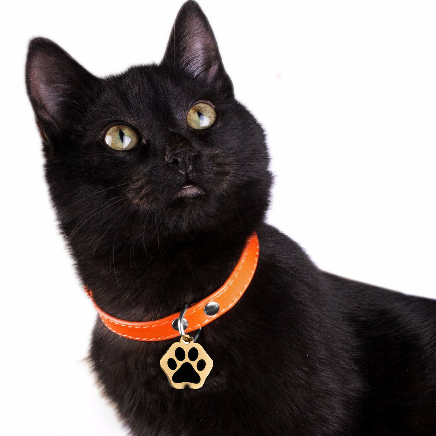 ins风简约设计脚掌印不锈钢狗牌饰品宠物项圈挂件激光身份刻字牌详情11