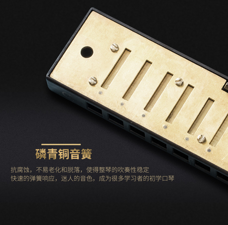 10孔Blues口琴外贸跨境批发塑料盒初学者入门演奏十孔布鲁斯口琴详情7