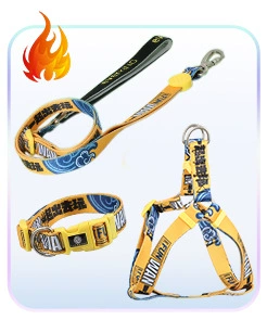 狗狗牵引绳小型犬中大型遛狗绳子渐变色狗链子胸背带宠物用品项圈详情3