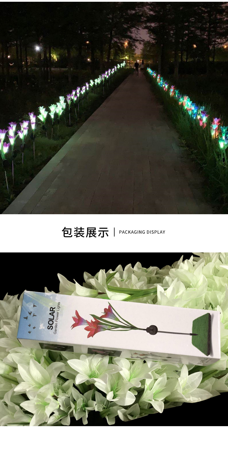 太阳能百合花（备）_11