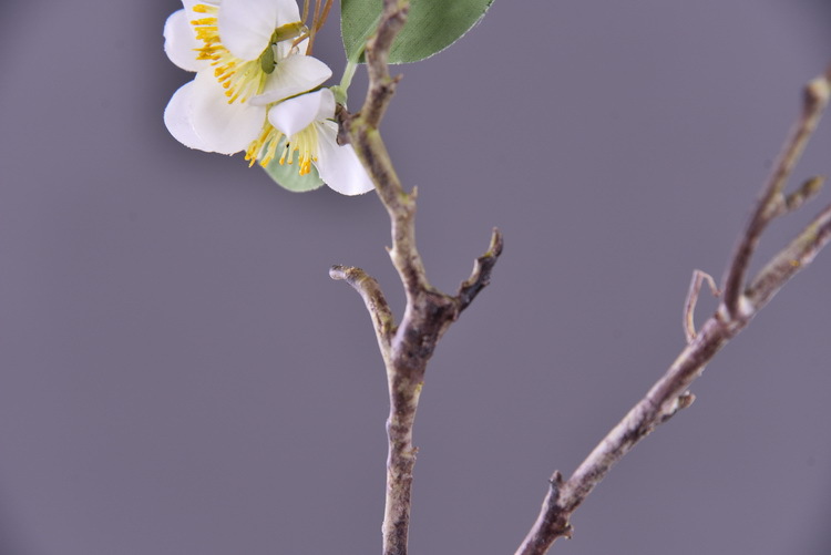 Wholesale of artificial flowers from the original factory, including artificial pear blossoms, cherry blossoms, duckweed flowers, model rooms, living rooms and hotel decorations pic 8