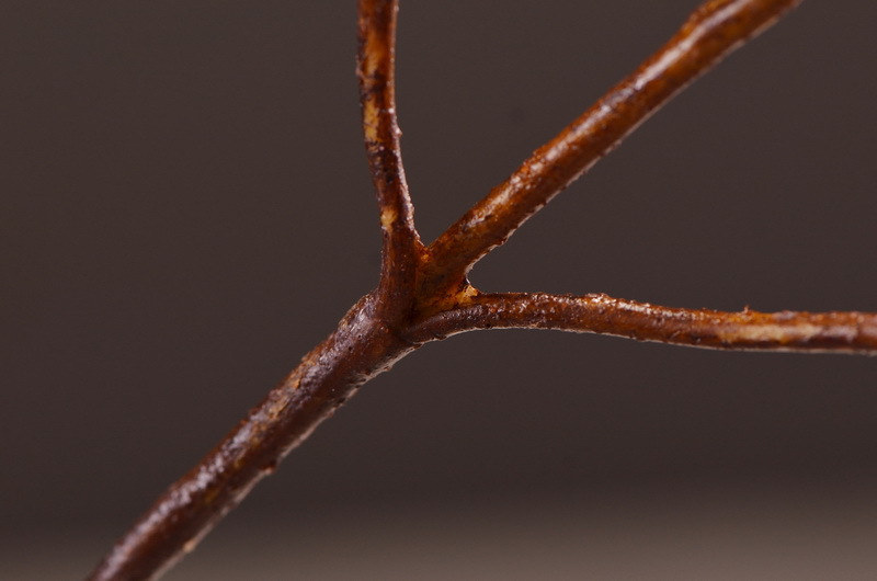 Dongli Flower Industry, the original manufacturer, offers wholesale of high-end artificial flowers, pendulous crabapple, home decoration sample rooms, photography props, and one-piece consignment of crabapple flowers pic 18